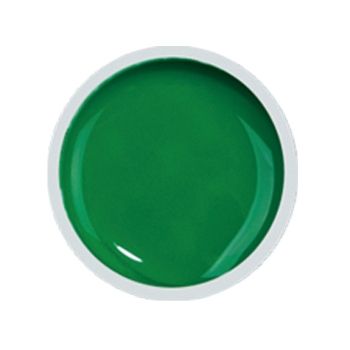 COVER COLOR GEL FSM 054 - CC-054 - Everin.ro