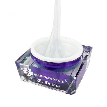 Gel UV Constructie- ARCHITECT GEL 15 ml Allepaznokcie - AG15 - Everin.ro