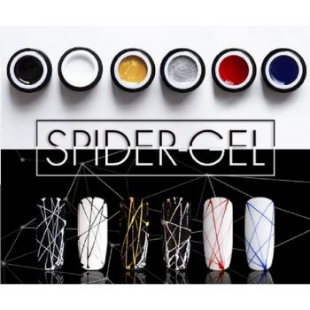 Spider gel FSM ARGINTIU #6 - SP092 - Everin.ro ieftin