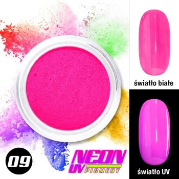 Pigment neon unghii PN9 - PN9 - Everin.ro ieftin