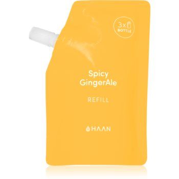 HAAN Hand Care Spicy GingerAle spray de curățare pentru mâini antibacterial
