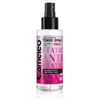 Delia Cosmetics Cameleo Anti Static spray pentru uniformizare ieftin