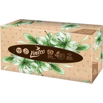 Linteo Paper Tissues Two-ply Paper, 100 pcs per box batiste de hârtie