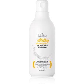 Brelil Professional Milky Sensation BB Shampoo șampon pentru regenerarea părului slab și deteriorat