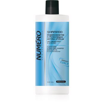 Brelil Numéro Elasticizing & Frizz-Free Shampoo sampon pentru par cret