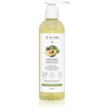 T-LAB Organics Organic Avocado Intense Repair Shampoo șampon regenerator pentru parul deteriorat si fragil