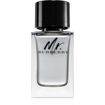 Burberry Mr. Burberry Eau de Toilette pentru bărbați