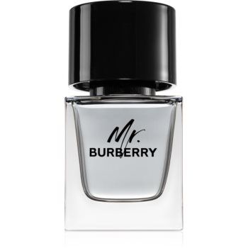 Burberry Mr. Burberry Eau de Toilette pentru bărbați