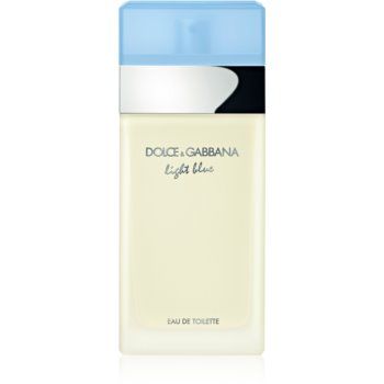 Dolce&Gabbana Light Blue Eau de Toilette pentru femei ieftin