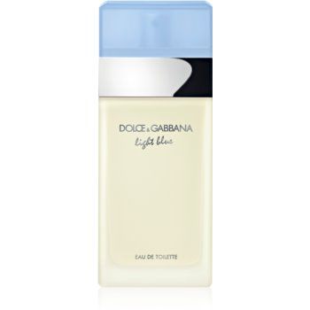 Dolce&Gabbana Light Blue Eau de Toilette pentru femei ieftin