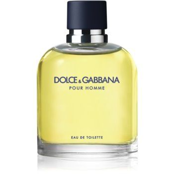 Dolce&Gabbana Pour Homme Eau de Toilette pentru bărbați