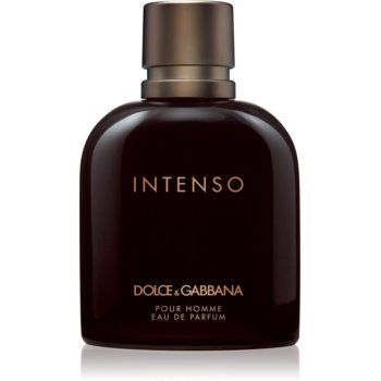 Dolce&Gabbana Pour Homme Intenso Eau de Parfum pentru bărbați