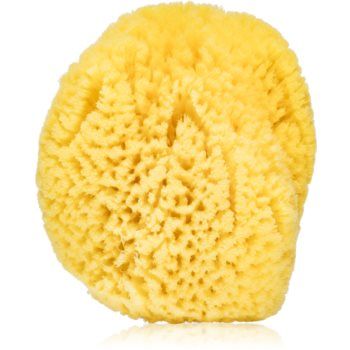 Agnotis Natural sponge burete de baie pentru copii