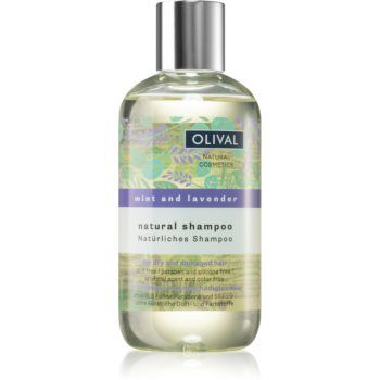 Olival Natural Mint and Lavender sampon natural pentru păr uscat și deteriorat