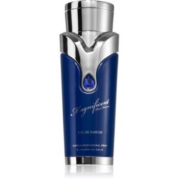 Armaf Magnificent Blue Pour Homme Eau de Parfum pentru bărbați ieftin