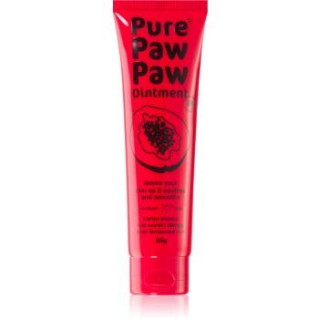 Pure Paw Paw Ointment Balsam pentru buze crapate si pielea uscata