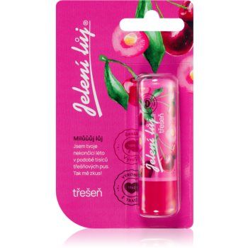 Regina Juicy Summer Cherry balsam de buze ieftin