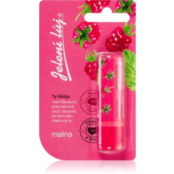 Regina Juicy Summer Raspberry balsam de buze ieftin