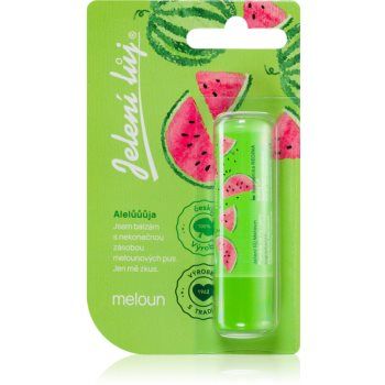 Regina Juicy Summer Watermelon balsam de buze