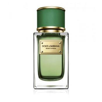Apa de parfum unisex Velvet Cypress, Dolce&Gabbana, 50 ml
