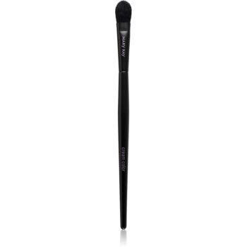 Mary Kay Brush perie plata pentru aplicarea fardului