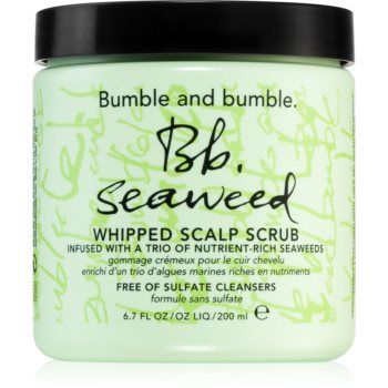 Bumble and bumble Seaweed Scalp Scrub Exfoliant pentru scalp cu extracte de alge marine
