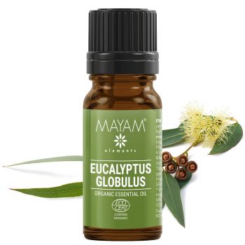Ulei esential Eucalipt (M - 1030), 10 ml, Mayam