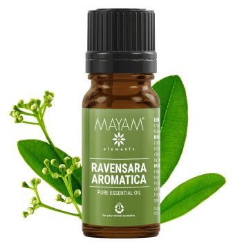 Ulei esential Ravensara (M - 1163), 10 ml, Mayam