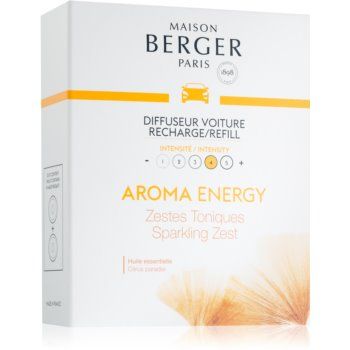 Maison Berger Paris Aroma Energy parfum pentru masina Refil (Sparkling Zest)