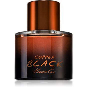 Kenneth Cole Copper Black Eau de Toilette pentru bărbați