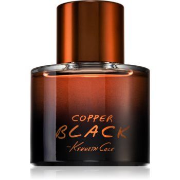 Kenneth Cole Copper Black Eau de Toilette pentru bărbați ieftin