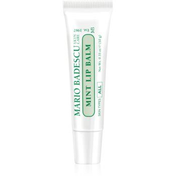 Mario Badescu Mint Lip Balm balsam de buze ultra nutritiv