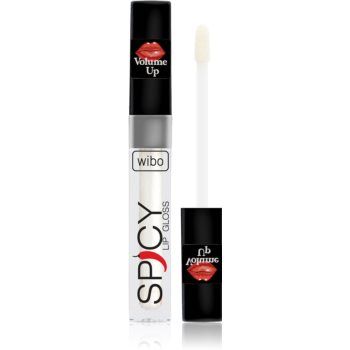 Wibo Lip Gloss Spicy luciu de buze pentru un volum suplimentar ieftin