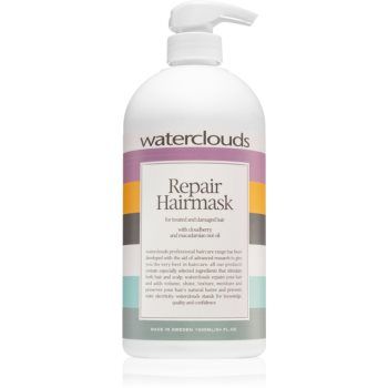 Waterclouds Repair Hairmask masca de par cu efect de regenerare si hidratare