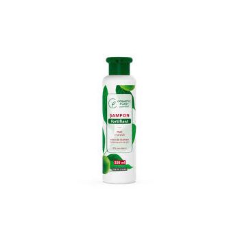 Sampon fortifiant cu nuc si urzica Cosmetic Plant (Concentratie: Sampon, Gramaj: 250 ml)