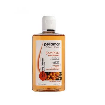 Sampon Pellamar regenerant cu extract de catina (Concentratie: Sampon, Gramaj: 250 ml) Sampon Pellamar regenerant cu extract de catina (Concentratie: Sampon, Gramaj: 250 ml)