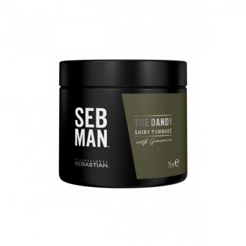 Pomada Sebastian Professional SebMan The Dandy 75 ml (Gramaj: 75 ml, TIP PRODUS: Gel de par)