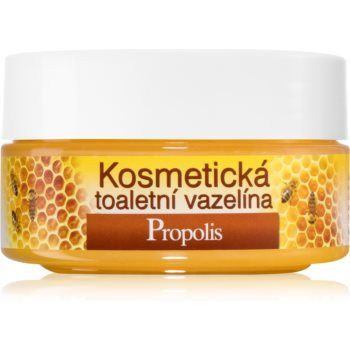 Bione Cosmetics Honey + Q10 vaselina cosmetica
