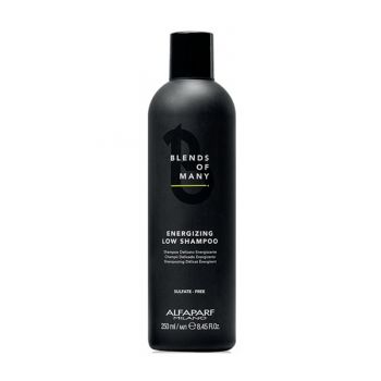 Sampon energizant anti-cadere Alfaparf Energizing Low Shampoo Blends of Many (Concentratie: Sampon, Gramaj: 250 ml) Sampon energizant anti-cadere Alfaparf Energizing Low Shampoo Blends of Many (Concentratie: Sampon, Gramaj: 250 ml)
