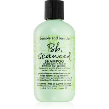 Bumble and bumble Seaweed Shampoo sampon pentru par cret cu extract de alge marine