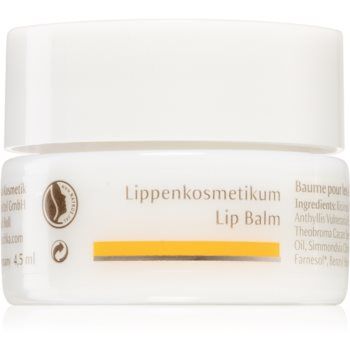 Dr. Hauschka Eye And Lip Care balsam de buze cu efect de nutritiv