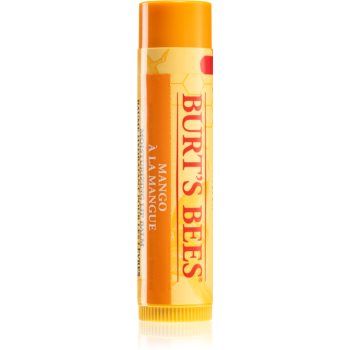 Burt’s Bees Lip Care balsam de buze nutritiv ieftin