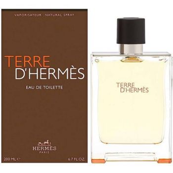 Apa de parfum pentru Barbati Hermes, Terre D'Hermes, 75 ml