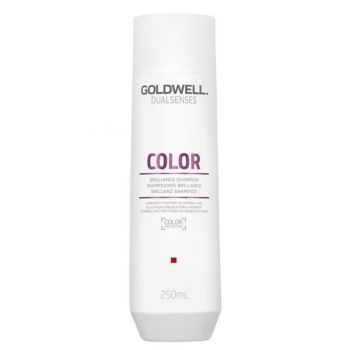 Sampon pentru Par Vopsit - Goldwell Dualsenses Color Brilliance Shampoo, 250 ml la reducere