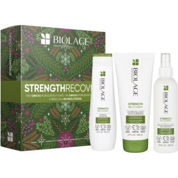 Biolage Strength Recovery set cadou (pentru par deteriorat)