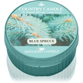 Country Candle Blue Spruce lumânare de firma original