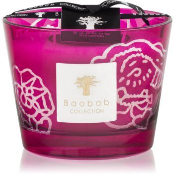 Baobab Collection Collectible Roses Burgundy lumânare parfumată
