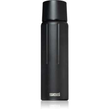 Sigg Gemstone IBT termos