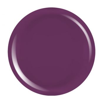 Gel Colorat UV PigmentPro LUXORISE - Grape Temptation, 5ml la reducere