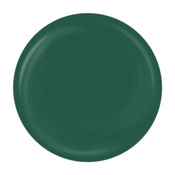 Gel Pictura Unghii LUXORISE Perfect Line - Green, 5ml de firma original